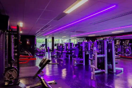 Squat- en benchplekken bij Xplosive Gym Helmond
