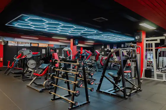 Vrije gewichten en racks bij Xplosive Gym Helmond