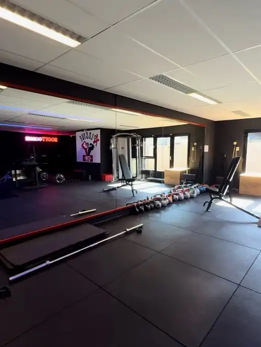 Vrije gewichten voor de spiegelwand bij Xplosive Gym Helmond